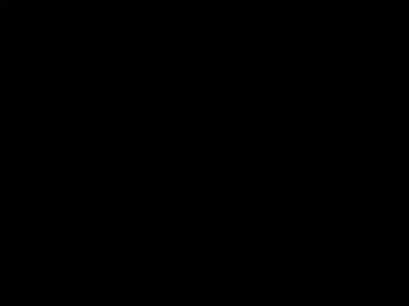 霸王别姬 电影海报